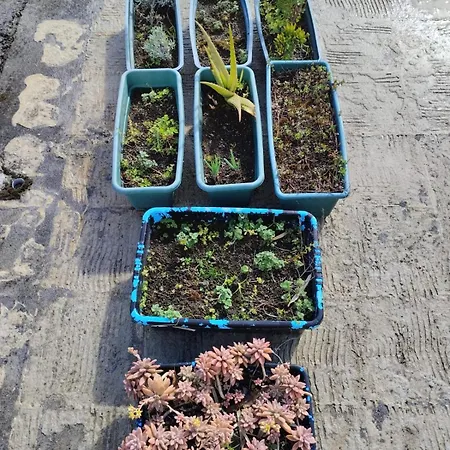 Complexo Vulcânico Casa de Férias Praia do Almoxarife