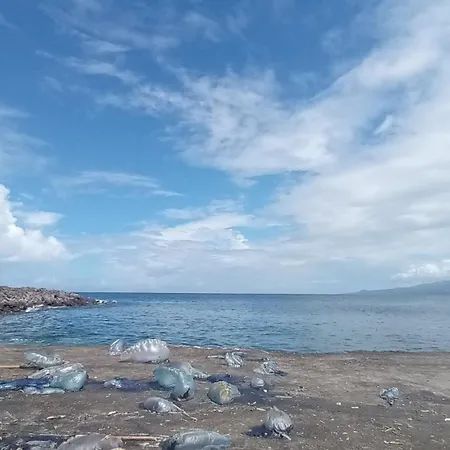 Complexo Vulcanico *