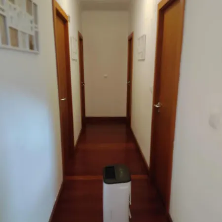 Complexo Vulcânico *