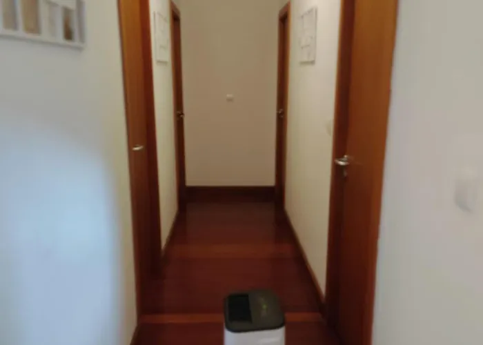 Complexo Vulcânico *